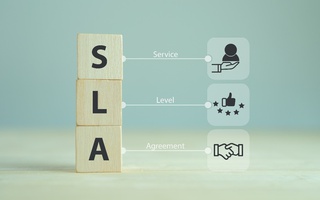 Softline об SLA: взгляд клиентов, руководителей, ИТ-специалистов